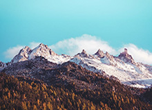 米乐m6yy易游：用一键开启的旅行游戏新纪元